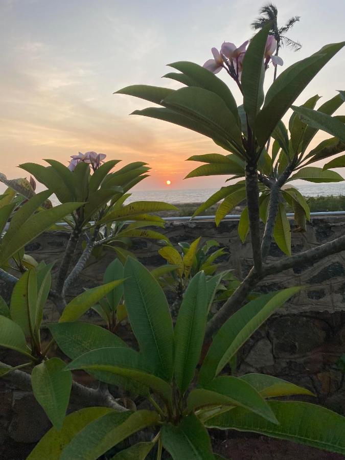 Spice Of Ceylon Hotell Chilaw Exteriör bild
