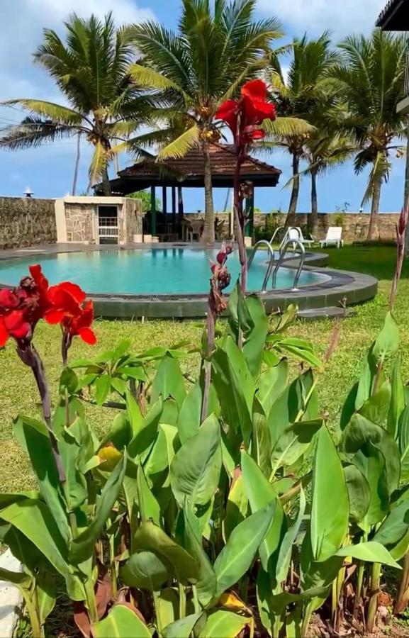 Spice Of Ceylon Hotell Chilaw Exteriör bild